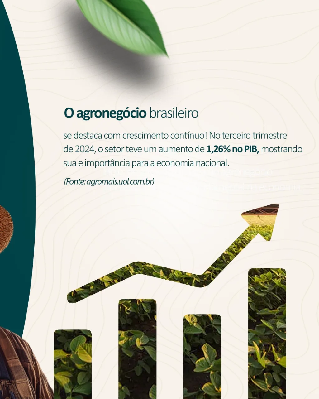 Design de Posts para Redes Sociais — projeto 2
