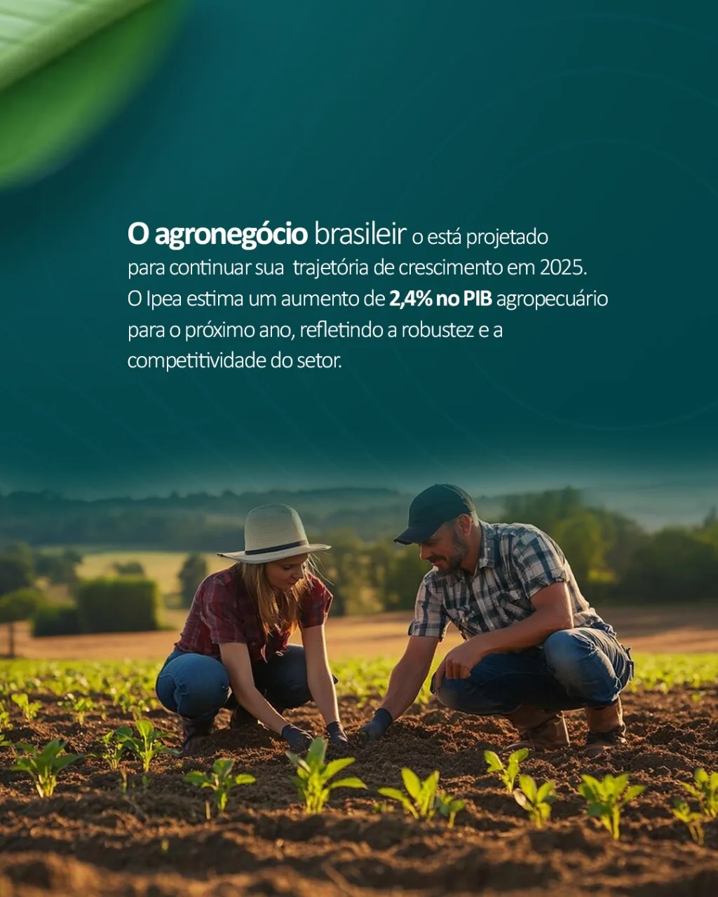 Design de Posts para Redes Sociais — projeto 7