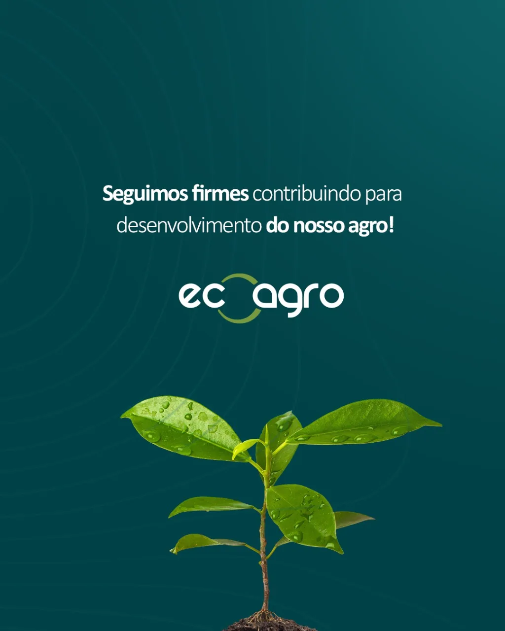 Design de Posts para Redes Sociais — projeto 8